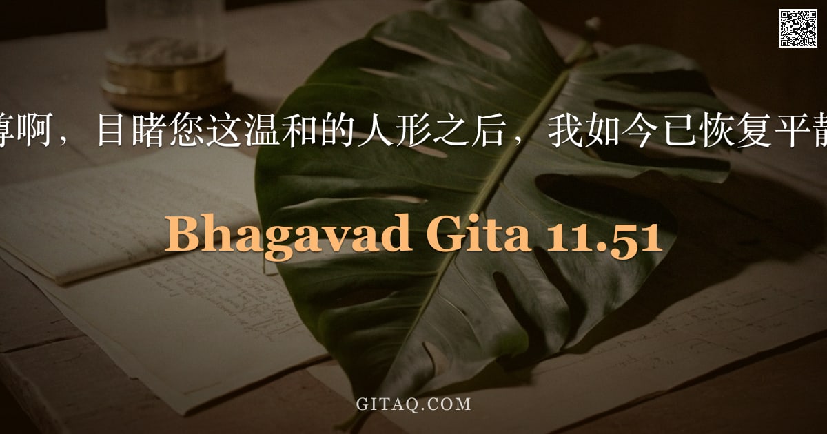 薄伽梵歌 11.51 — "阿周那说：世尊啊，目睹您这温和的人形之后，我如今已恢复平静，回归本性。"