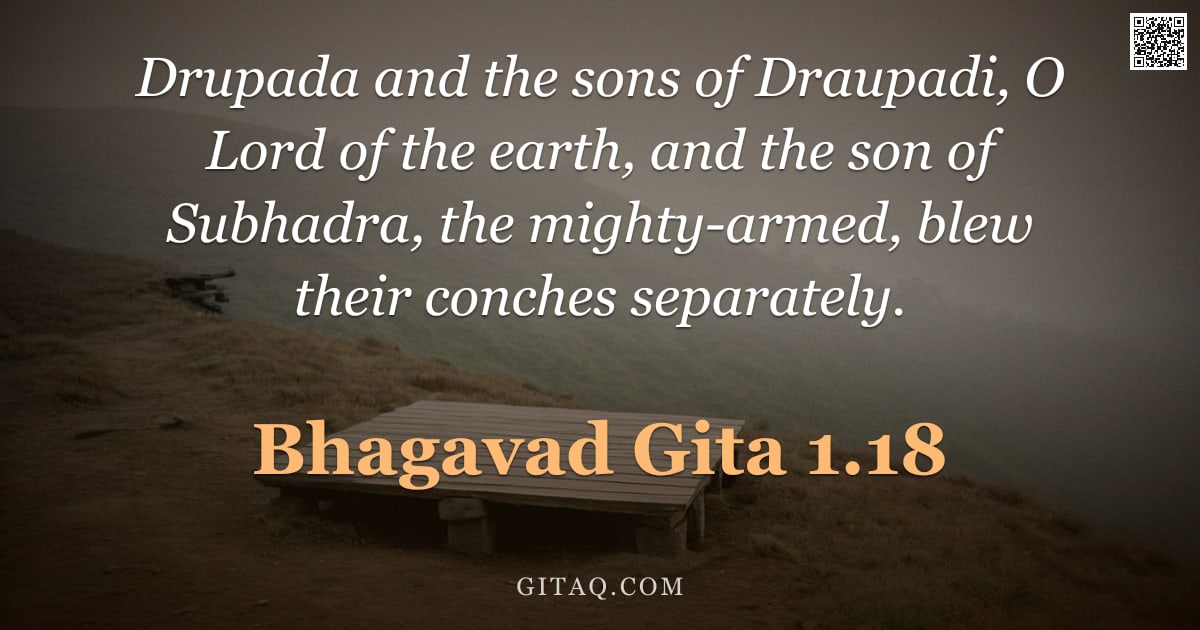 Bhagavad Gita 1.18 — "Drupada and the sons of Draupadi, O Lord of the earth, and the son of Subhadra, the mighty-armed, bl"