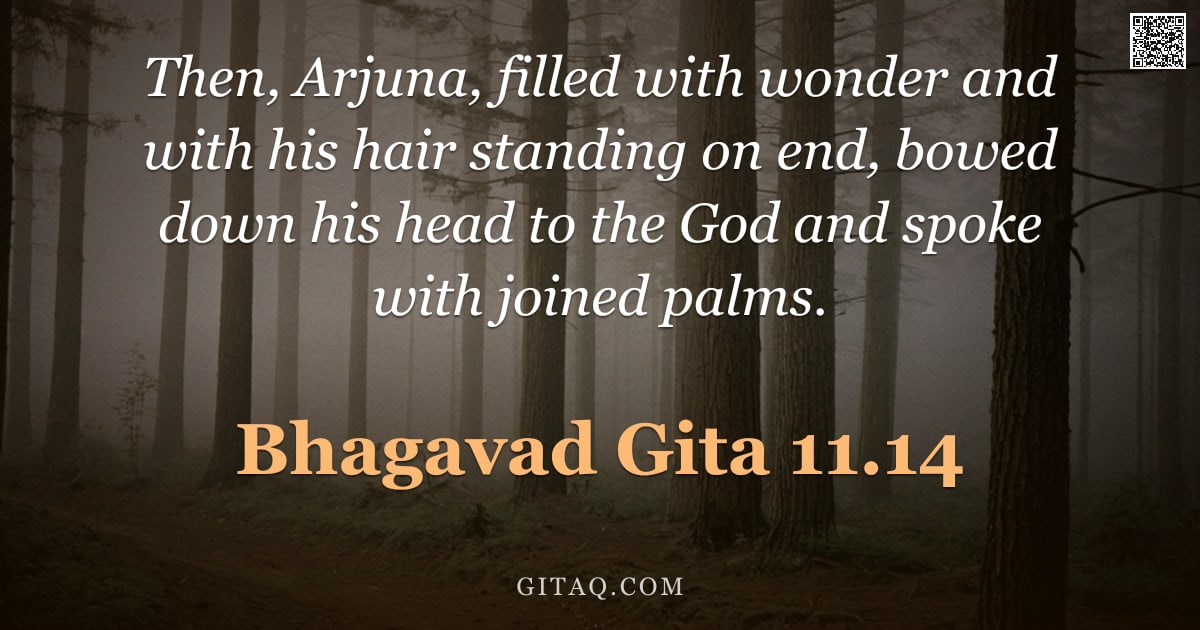 Bhagavad Gita 11.14 — "Then, Arjuna, filled with wonder and with his hair standing on end, bowed down his head to the God a"
