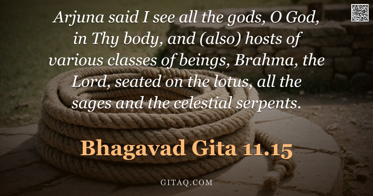 Bhagavad Gita 11.15 — "Arjuna said I see all the gods, O God, in Thy body, and (also) hosts of various classes of beings, B"