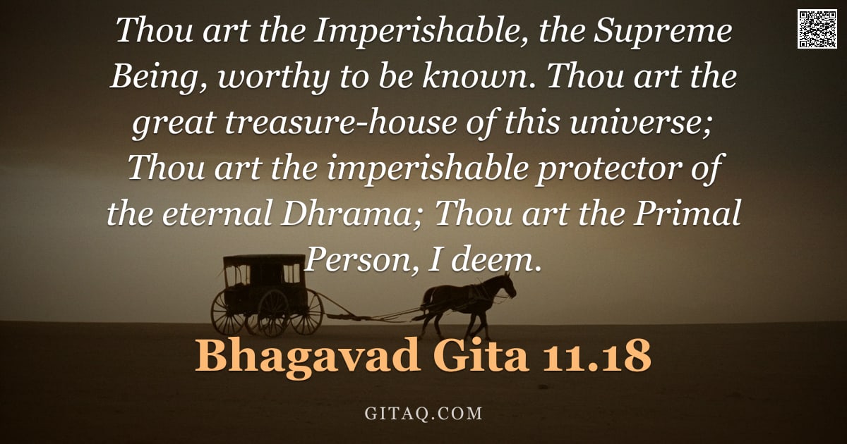 Bhagavad Gita 11.18 — "Thou art the Imperishable, the Supreme Being, worthy to be known. Thou art the great treasure-house "