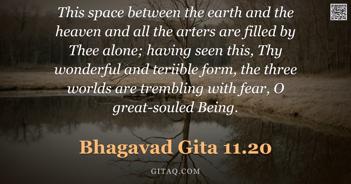 Bhagavad Gita 11.20 — "This space between the earth and the heaven and all the arters are filled by Thee alone; having seen"