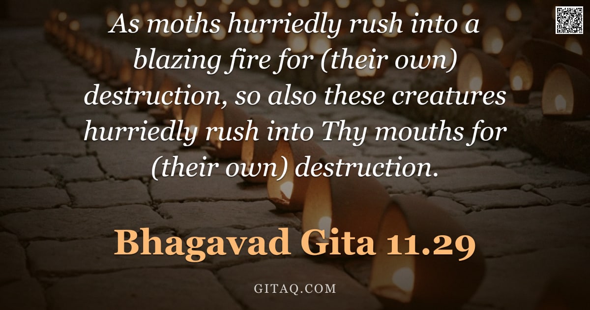 Bhagavad Gita 11.29 — "As moths hurriedly rush into a blazing fire for (their own) destruction, so also these creatures hur"