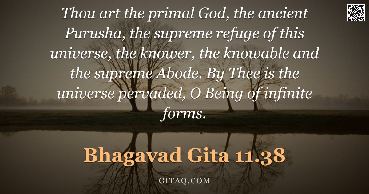 Bhagavad Gita 11.38 — "Thou art the primal God, the ancient Purusha, the supreme refuge of this universe, the knower, the k"