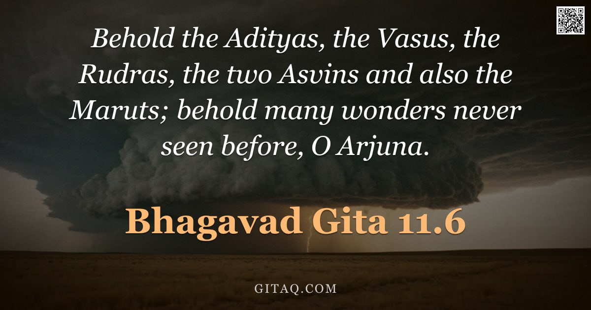 Bhagavad Gita 11.6 — "Behold the Adityas, the Vasus, the Rudras, the two Asvins and also the Maruts; behold many wonders n"