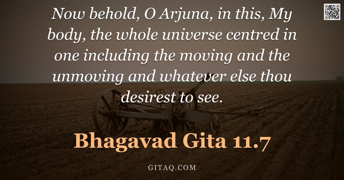 Bhagavad Gita 11.7 — "Now behold, O Arjuna, in this, My body, the whole universe centred in one including the moving and t"