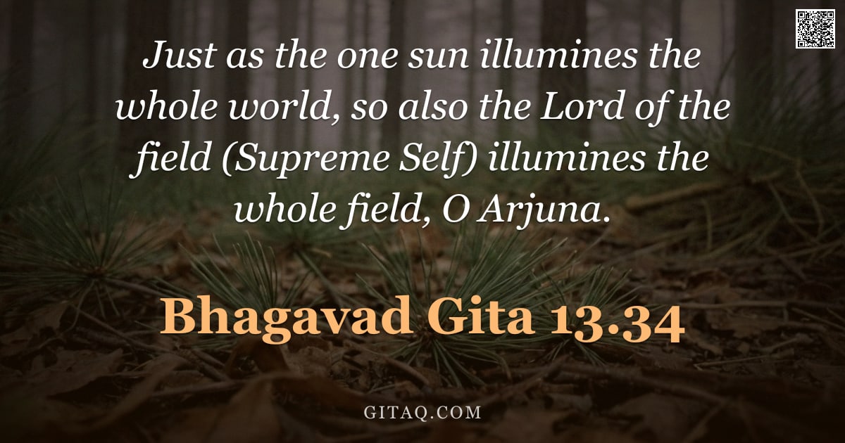 Bhagavad Gita 13.34 — "Just as the one sun illumines the whole world, so also the Lord of the field (Supreme Self) illumine"