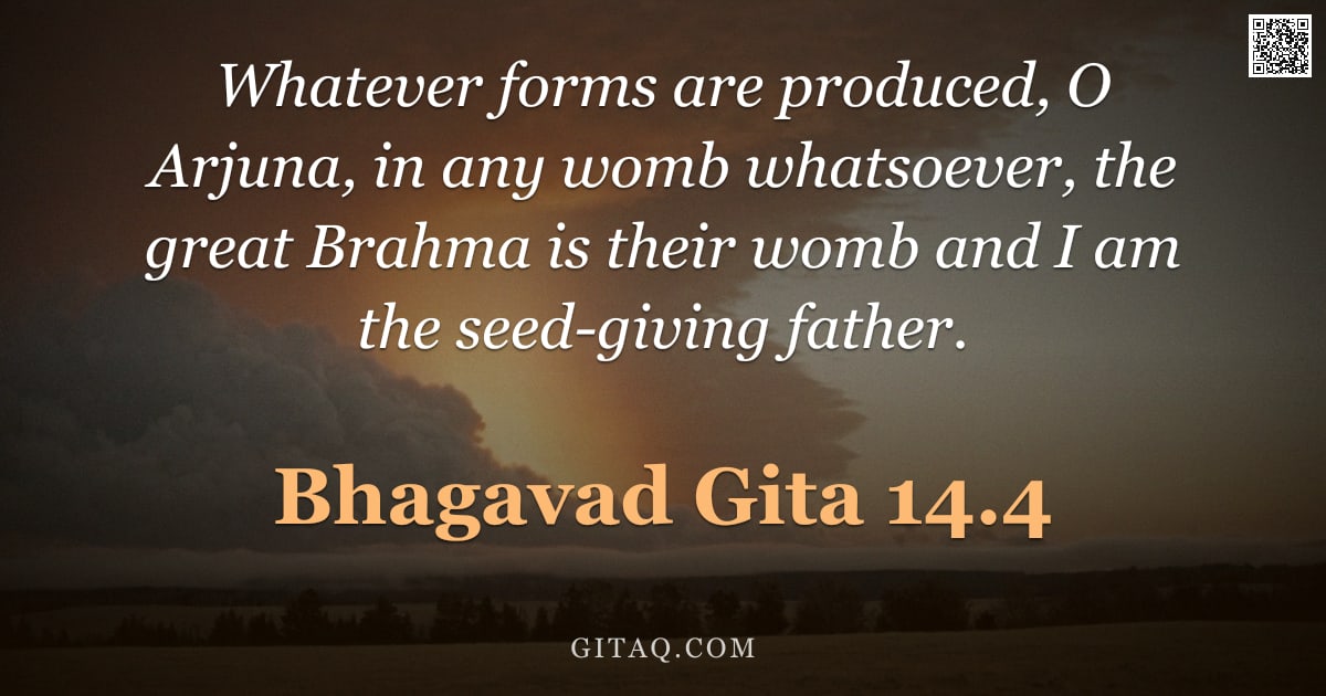 Bhagavad Gita 14.4 — "Whatever forms are produced, O Arjuna, in any womb whatsoever, the great Brahma is their womb and I "