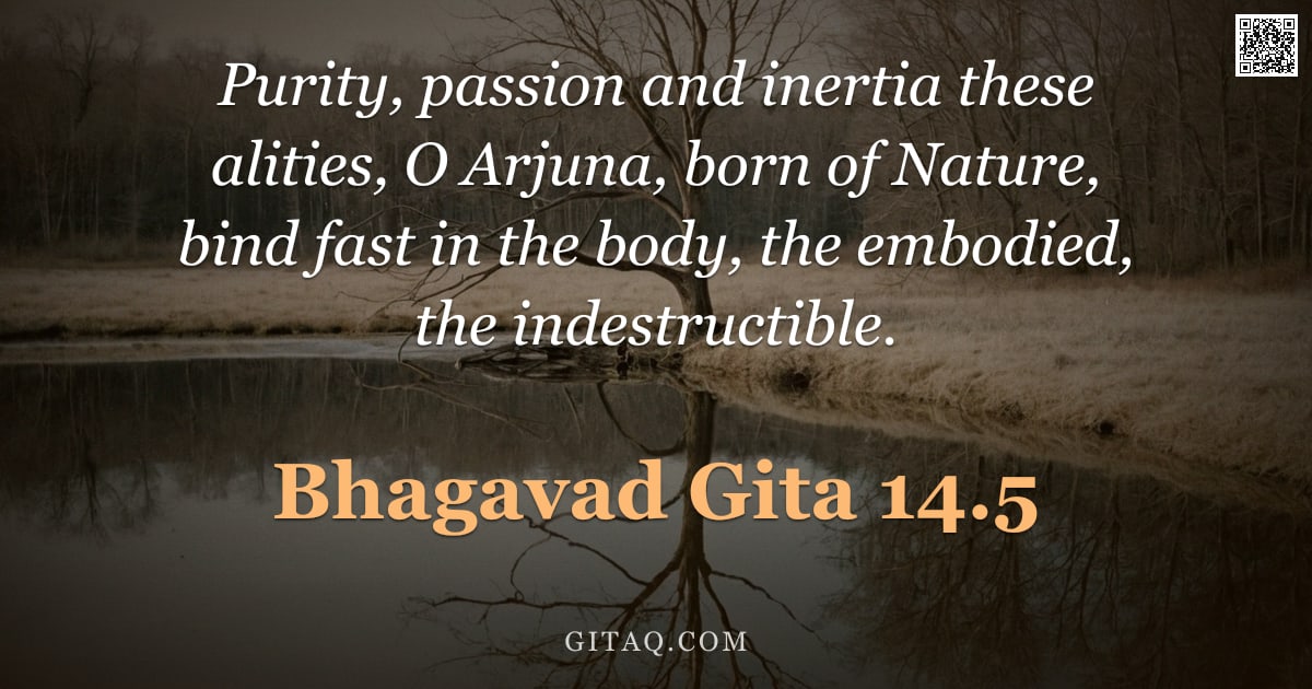 Bhagavad Gita 14.5 — "Purity, passion and inertia these alities, O Arjuna, born of Nature, bind fast in the body, the embo"