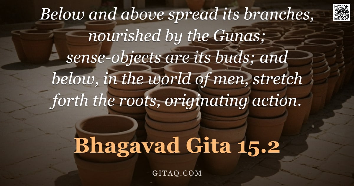Bhagavad Gita 15.2 — "Below and above spread its branches, nourished by the Gunas; sense-objects are its buds; and below, "
