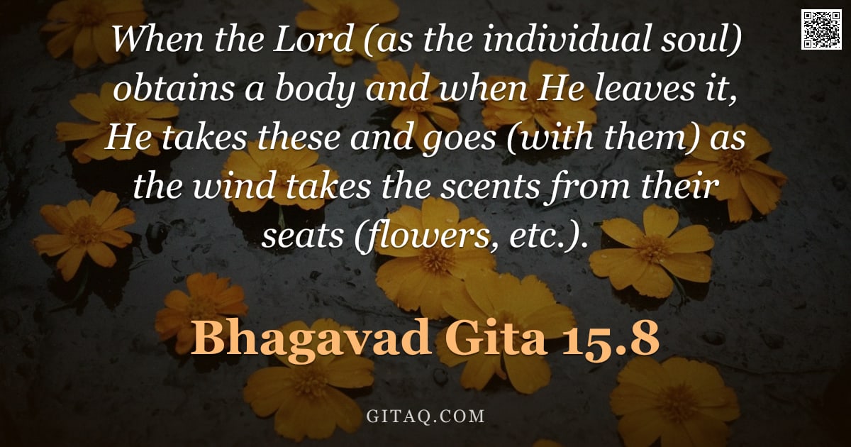 Bhagavad Gita 15.8 — "When the Lord (as the individual soul) obtains a body and when He leaves it, He takes these and goes"
