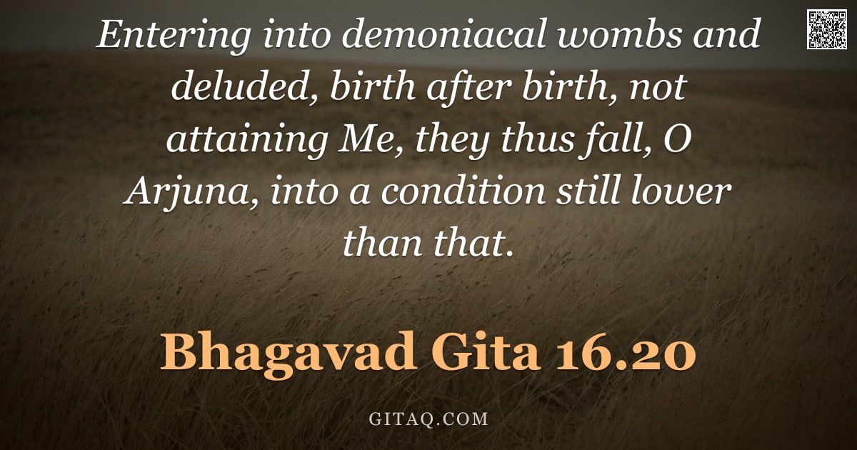 Bhagavad Gita 16.20 — "Entering into demoniacal wombs and deluded, birth after birth, not attaining Me, they thus fall, O A"