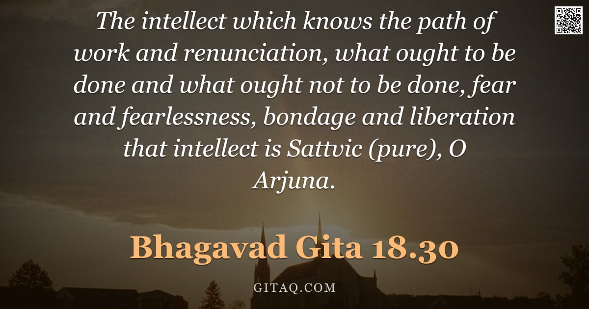 Bhagavad Gita 18.30 — "The intellect which knows the path of work and renunciation, what ought to be done and what ought no"
