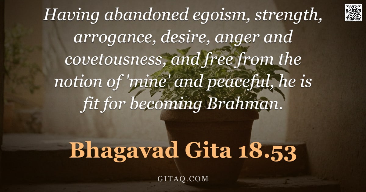 Bhagavad Gita 18.53 — "Having abandoned egoism, strength, arrogance, desire, anger and covetousness, and free from the noti"