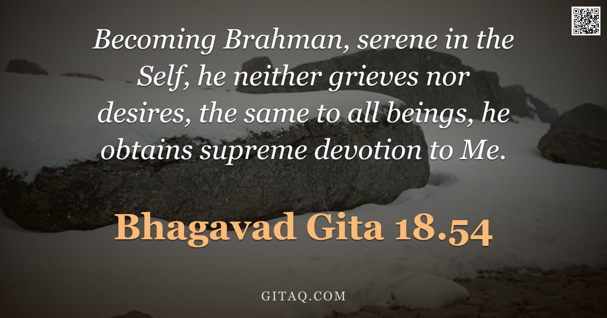 Bhagavad Gita 18.54 — "Becoming Brahman, serene in the Self, he neither grieves nor desires, the same to all beings, he obt"