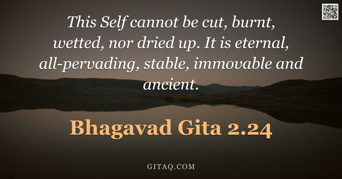 Bhagavad Gita 2.24 — "This Self cannot be cut, burnt, wetted, nor dried up. It is eternal, all-pervading, stable, immovabl"