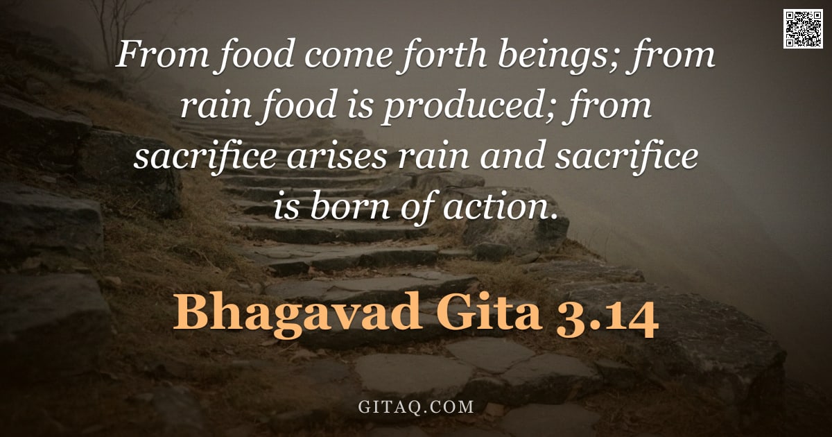 Bhagavad Gita 3.14 — "From food come forth beings; from rain food is produced; from sacrifice arises rain and sacrifice is"