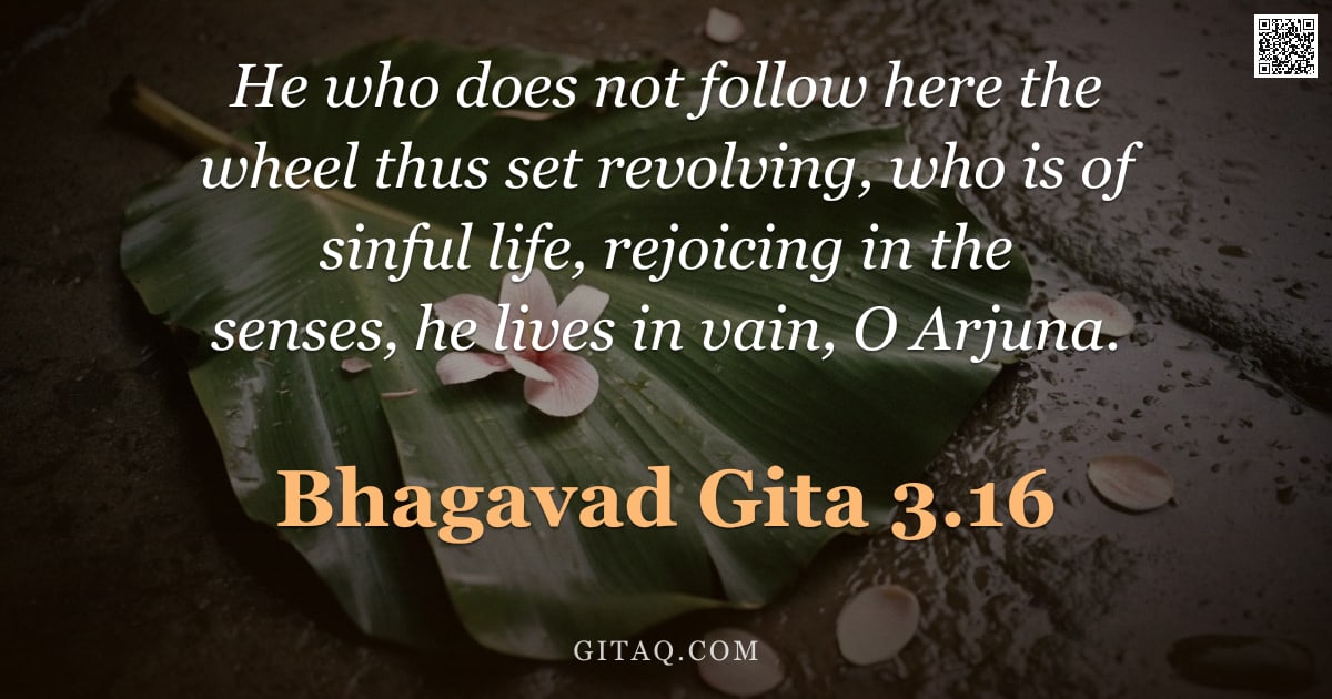 Bhagavad Gita 3.16 — "He who does not follow here the wheel thus set revolving, who is of sinful life, rejoicing in the se"