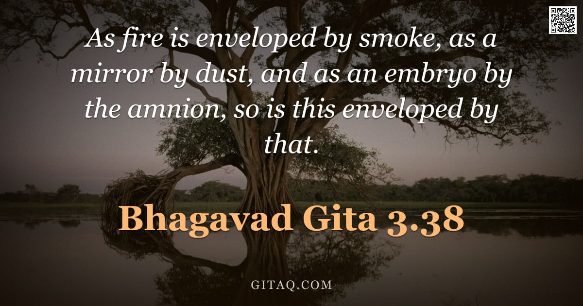 Bhagavad Gita 3.38 — "As fire is enveloped by smoke, as a mirror by dust, and as an embryo by the amnion, so is this envel"