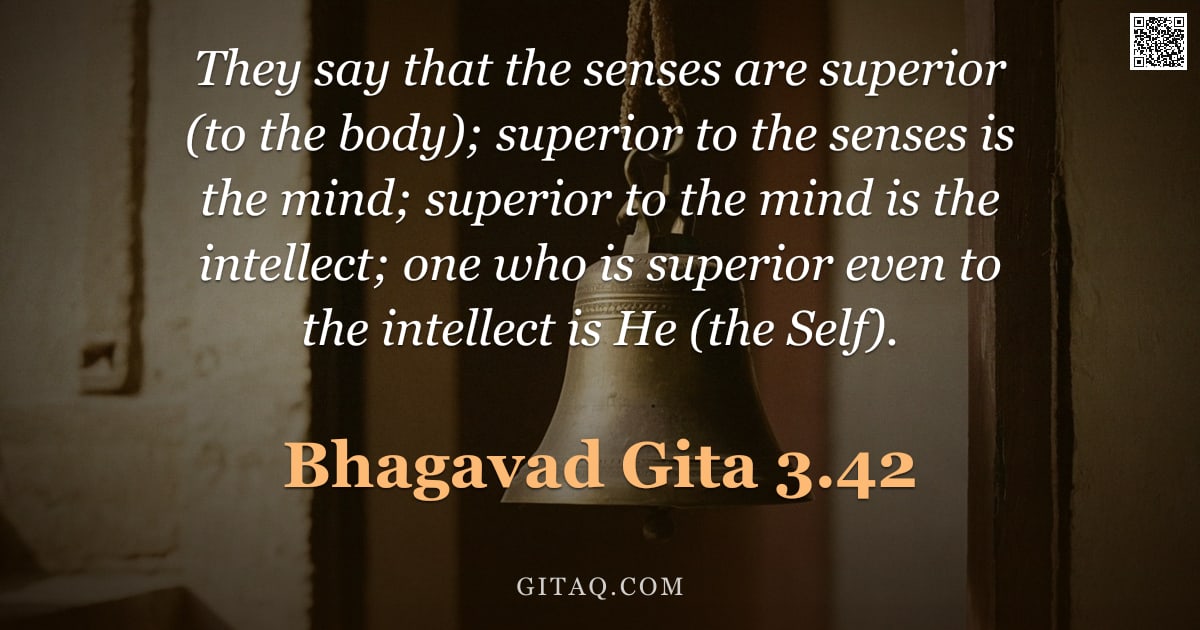 Bhagavad Gita 3.42 — "They say that the senses are superior (to the body); superior to the senses is the mind; superior to"