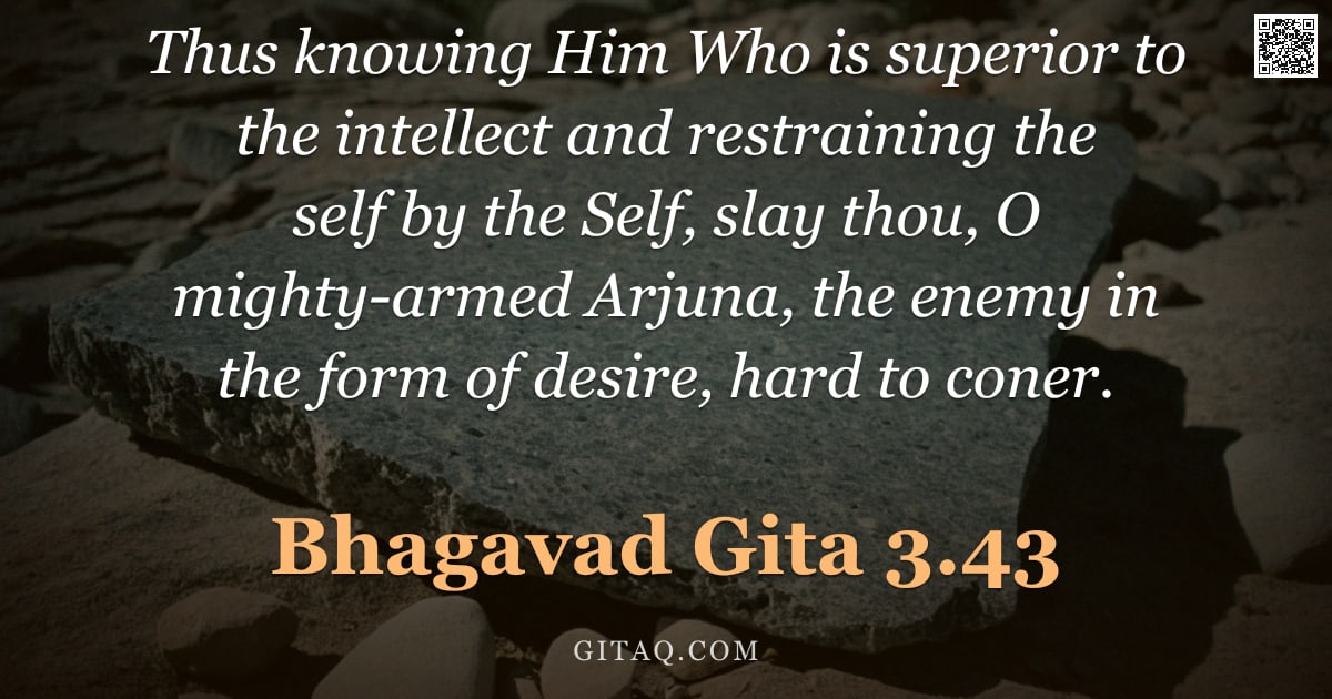Bhagavad Gita 3.43 — "Thus knowing Him Who is superior to the intellect and restraining the self by the Self, slay thou, O"