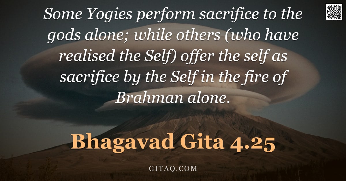 Bhagavad Gita 4.25 — "Some Yogies perform sacrifice to the gods alone; while others (who have realised the Self) offer the"