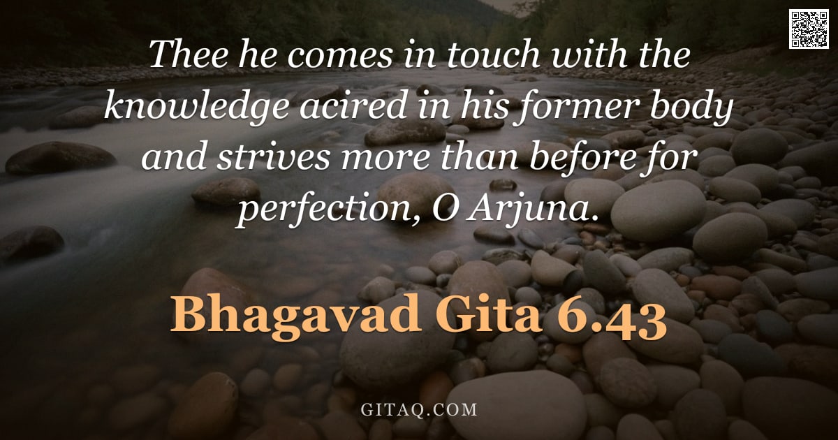 Bhagavad Gita 6.43 — "Thee he comes in touch with the knowledge acired in his former body and strives more than before for"