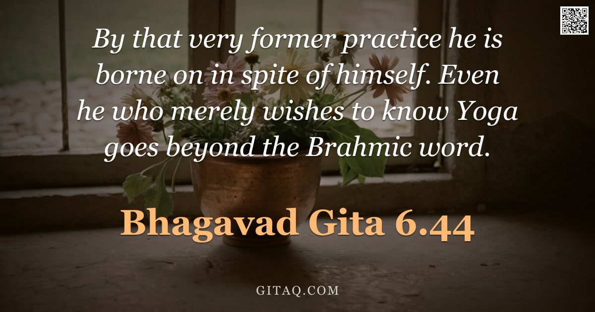Bhagavad Gita 6.44 — "By that very former practice he is borne on in spite of himself. Even he who merely wishes to know Y"