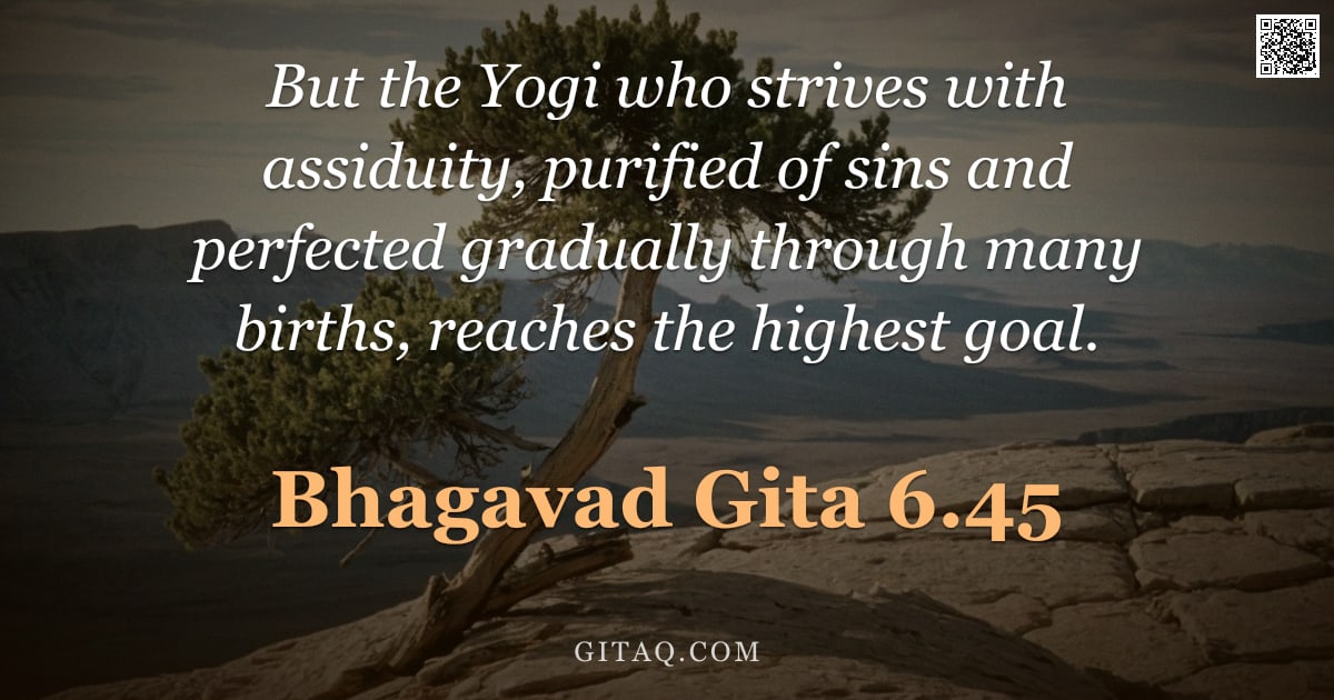 Bhagavad Gita 6.45 — "But the Yogi who strives with assiduity, purified of sins and perfected gradually through many birth"