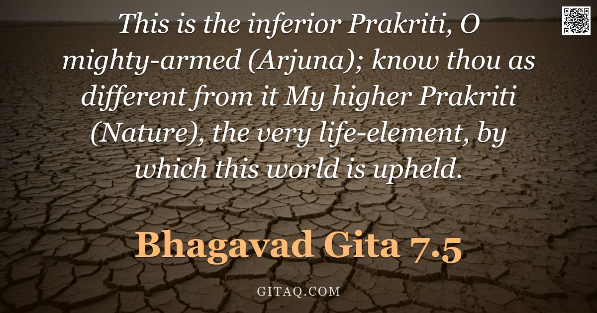 Bhagavad Gita 7.5 — "This is the inferior Prakriti, O mighty-armed (Arjuna); know thou as different from it My higher Pra"