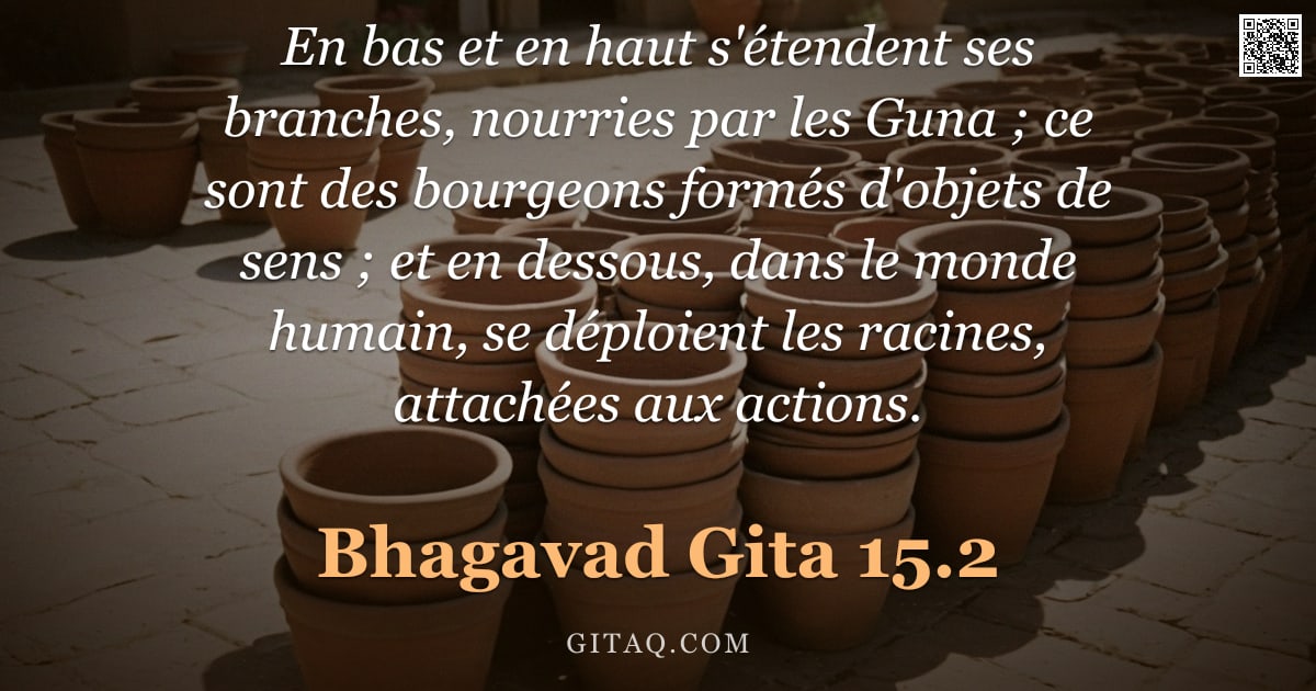Bhagavad-Gîtâ 15.2 — "En bas et en haut s'étendent ses branches, nourries par les Guna ; ce sont des bourgeons formés d'ob"