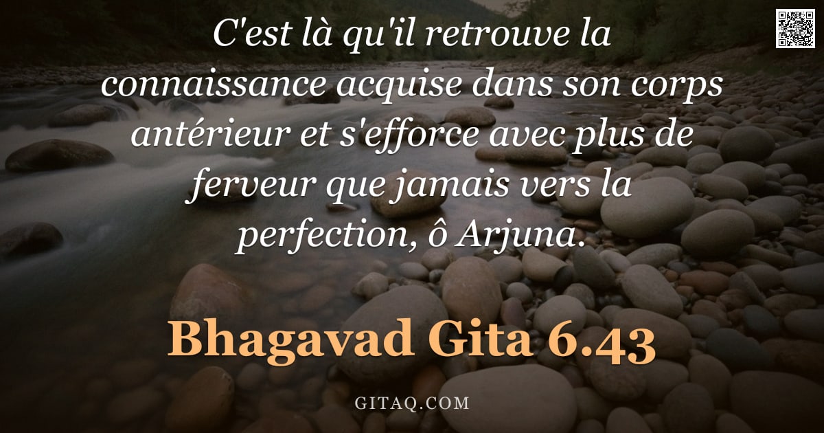 Bhagavad-Gîtâ 6.43 — "C'est là qu'il retrouve la connaissance acquise dans son corps antérieur et s'efforce avec plus de f"