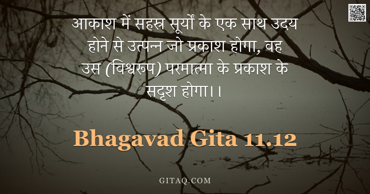भगवद्गीता 11.12 — "आकाश में सहस्र सूर्यों के एक साथ उदय होने से उत्पन्न जो प्रकाश होगा, वह उस (विश्वरूप) परमात्मा के प्"