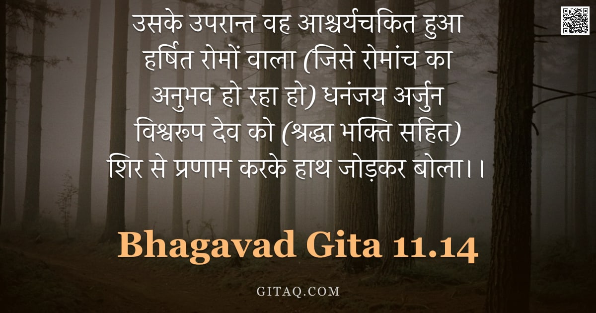 भगवद्गीता 11.14 — "उसके उपरान्त वह आश्चर्यचकित हुआ हर्षित रोमों वाला (जिसे रोमांच का अनुभव हो रहा हो) धनंजय अर्जुन विश्"
