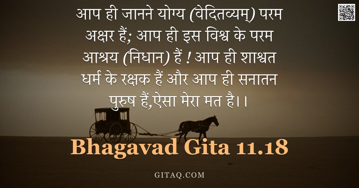 भगवद्गीता 11.18 — "आप ही जानने योग्य (वेदितव्यम्) परम अक्षर हैं; आप ही इस विश्व के परम आश्रय (निधान) हैं ! आप ही शाश्वत"