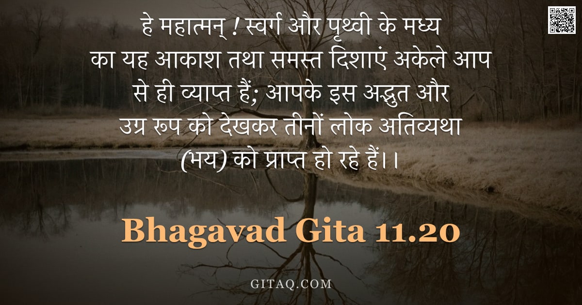 भगवद्गीता 11.20 — "हे महात्मन् ! स्वर्ग और पृथ्वी के मध्य का यह आकाश तथा समस्त दिशाएं अकेले आप से ही व्याप्त हैं; आपके "