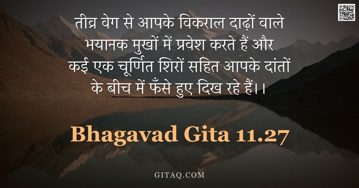 भगवद्गीता 11.27 — "तीव्र वेग से आपके विकराल दाढ़ों वाले भयानक मुखों में प्रवेश करते हैं और कई एक चूर्णित शिरों सहित आपक"