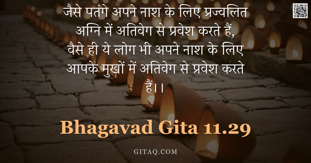 भगवद्गीता 11.29 — "जैसे पतंगे अपने नाश के लिए प्रज्वलित अग्नि में अतिवेग से प्रवेश करते हैं, वैसे ही ये लोग भी अपने नाश"