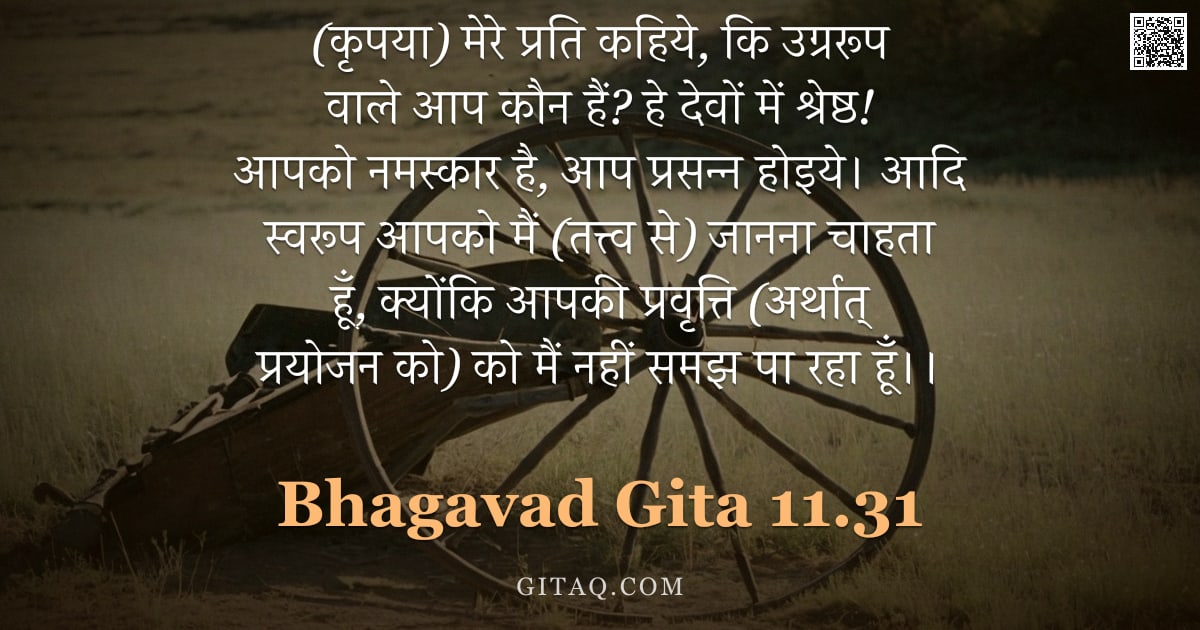 भगवद्गीता 11.31 — "(कृपया) मेरे प्रति कहिये, कि उग्ररूप वाले आप कौन हैं? हे देवों में श्रेष्ठ! आपको नमस्कार है, आप प्रस"