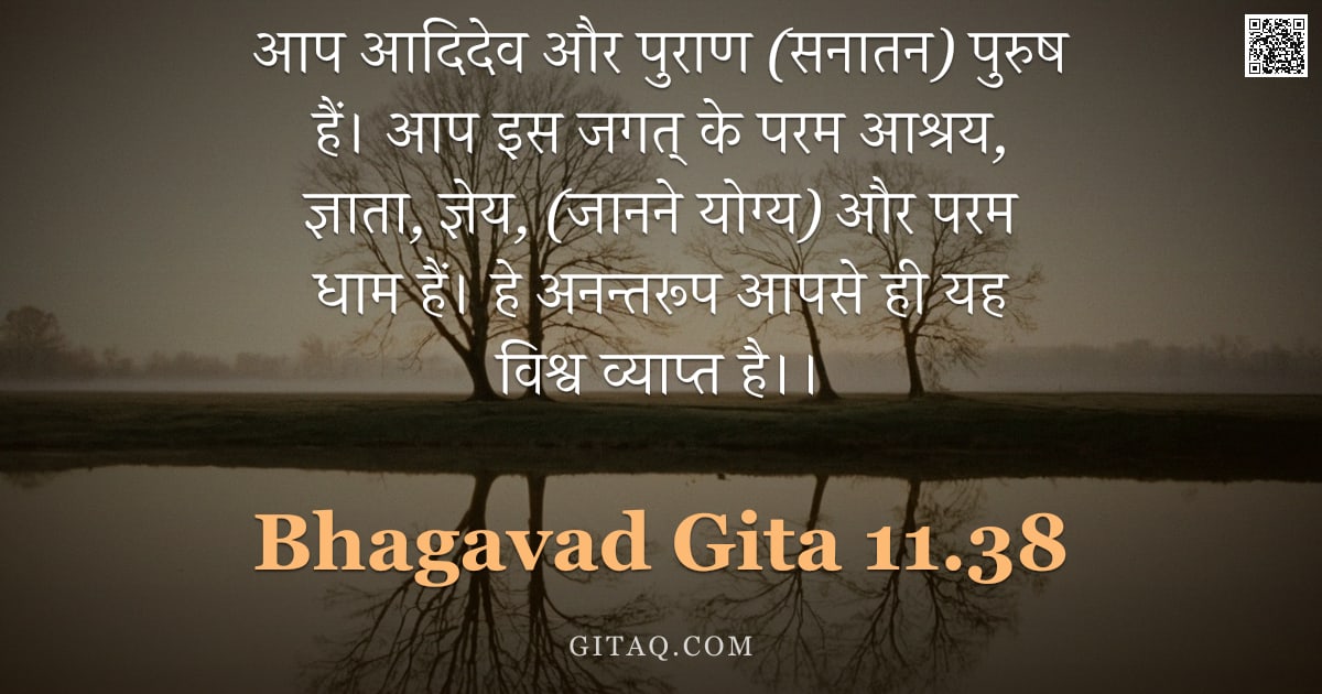 भगवद्गीता 11.38 — "आप आदिदेव और पुराण (सनातन) पुरुष हैं। आप इस जगत् के परम आश्रय, ज्ञाता, ज्ञेय, (जानने योग्य) और परम ध"