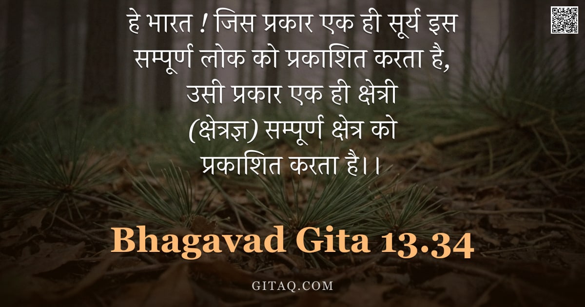 भगवद्गीता 13.34 — "हे भारत ! जिस प्रकार एक ही सूर्य इस सम्पूर्ण लोक को प्रकाशित करता है, उसी प्रकार एक ही क्षेत्री (क्ष"