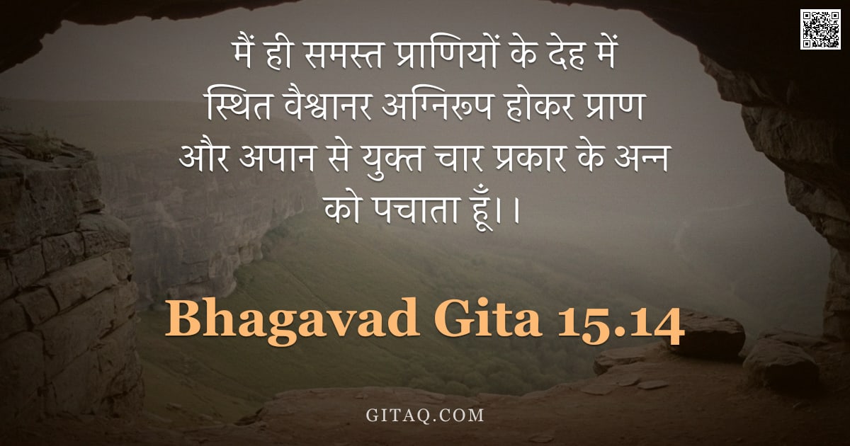 भगवद्गीता 15.14 — "मैं ही समस्त प्राणियों के देह में स्थित वैश्वानर अग्निरूप होकर प्राण और अपान से युक्त चार प्रकार के "