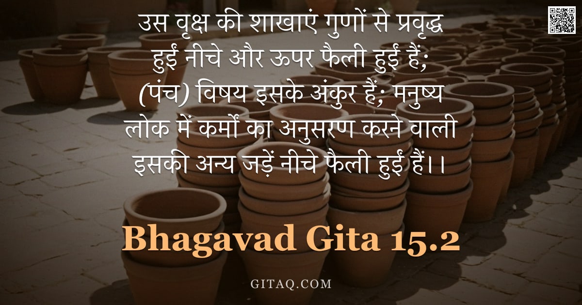 भगवद्गीता 15.2 — "उस वृक्ष की शाखाएं गुणों से प्रवृद्ध हुईं नीचे और ऊपर फैली हुईं हैं; (पंच) विषय इसके अंकुर हैं; मनुष"