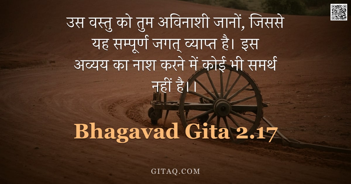 भगवद्गीता 2.17 — "उस वस्तु को तुम अविनाशी जानों,  जिससे यह सम्पूर्ण जगत् व्याप्त है। इस अव्यय का नाश करने में कोई भी स"