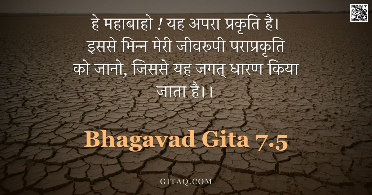 भगवद्गीता 7.5 — "हे महाबाहो ! यह अपरा प्रकृति है। इससे भिन्न मेरी जीवरूपी पराप्रकृति को जानो, जिससे यह जगत् धारण किया"