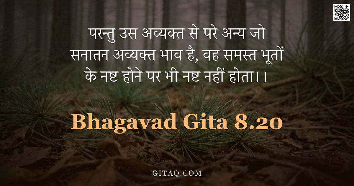 भगवद्गीता 8.20 — "परन्तु उस अव्यक्त से परे अन्य जो सनातन अव्यक्त भाव है, वह समस्त भूतों के नष्ट होने पर भी नष्ट नहीं ह"
