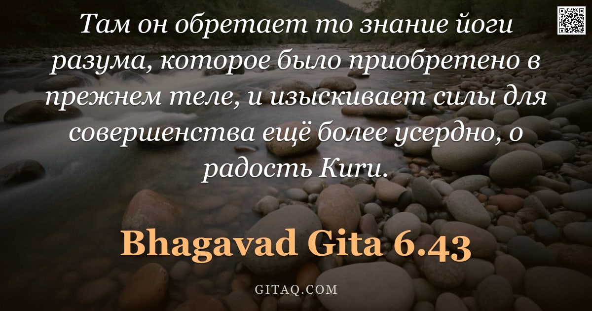 Бхагавад-гита 6.43 — "Там он обретает то знание йоги разума, которое было приобретено в прежнем теле, и изыскивает силы дл"